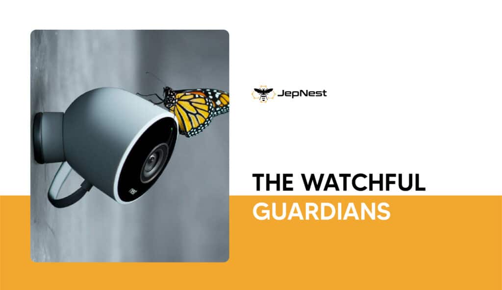 the watchful guardians : tampa surveillance cameras
